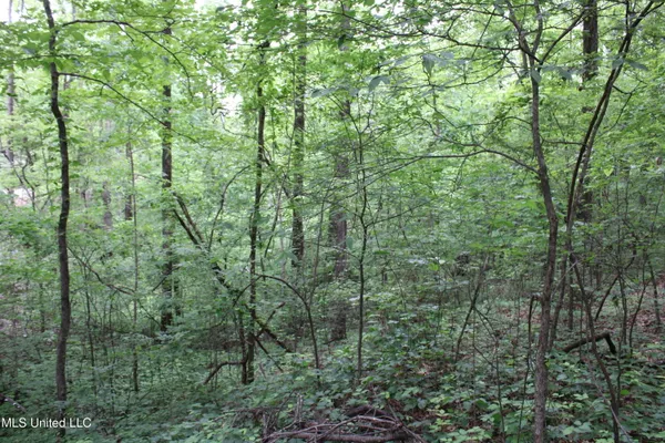 $17,900 | 3550 Highway 3, Sarah, MS 38665