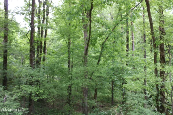 $17,900 | 3550 Highway 3, Sarah, MS 38665