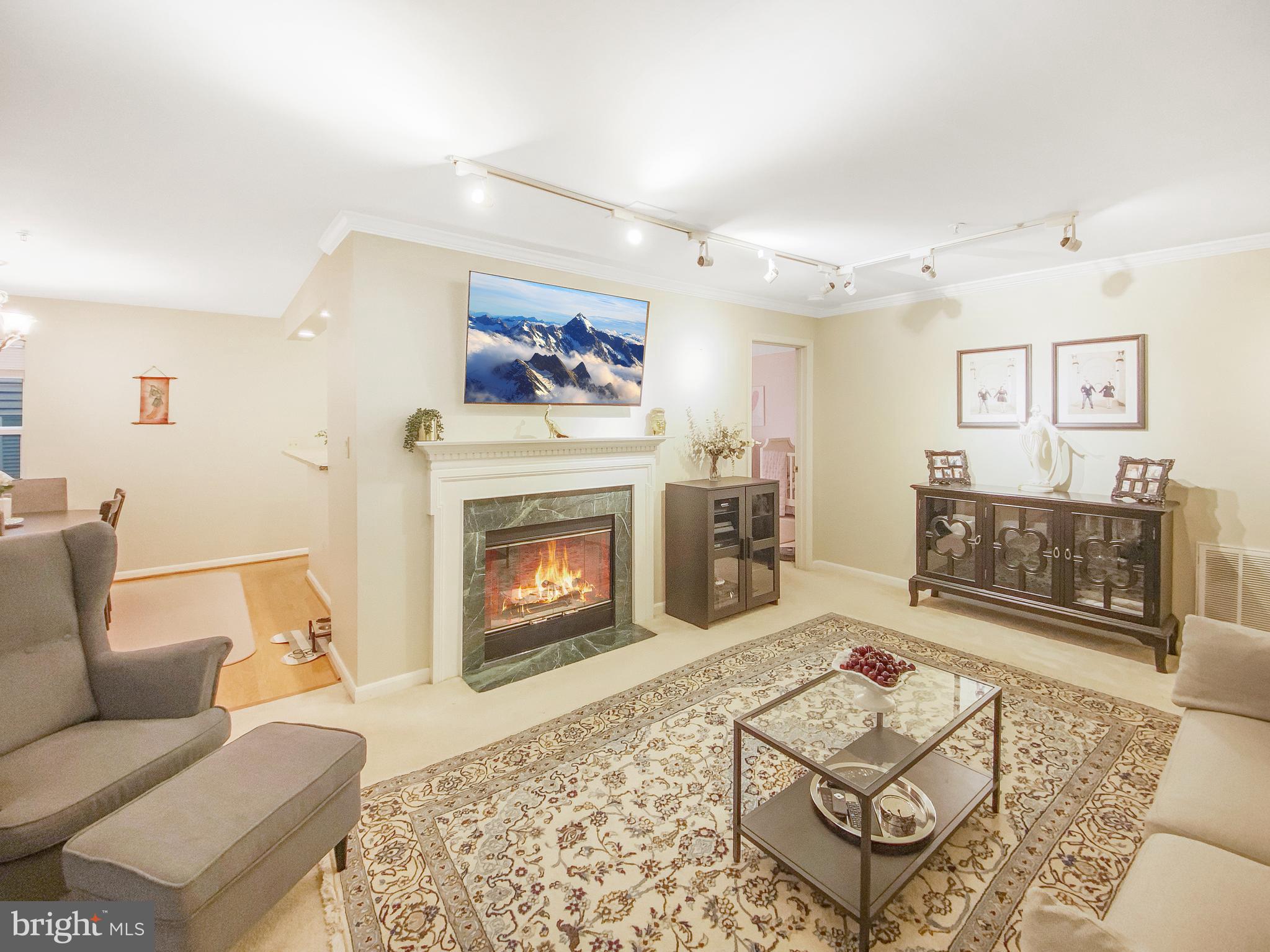 127 Timberbrook Lane, Unit 203 Gaithersburg, MD 20878 - Photo 5 of 29 a living room with furniture a fireplace and a flat screen tv