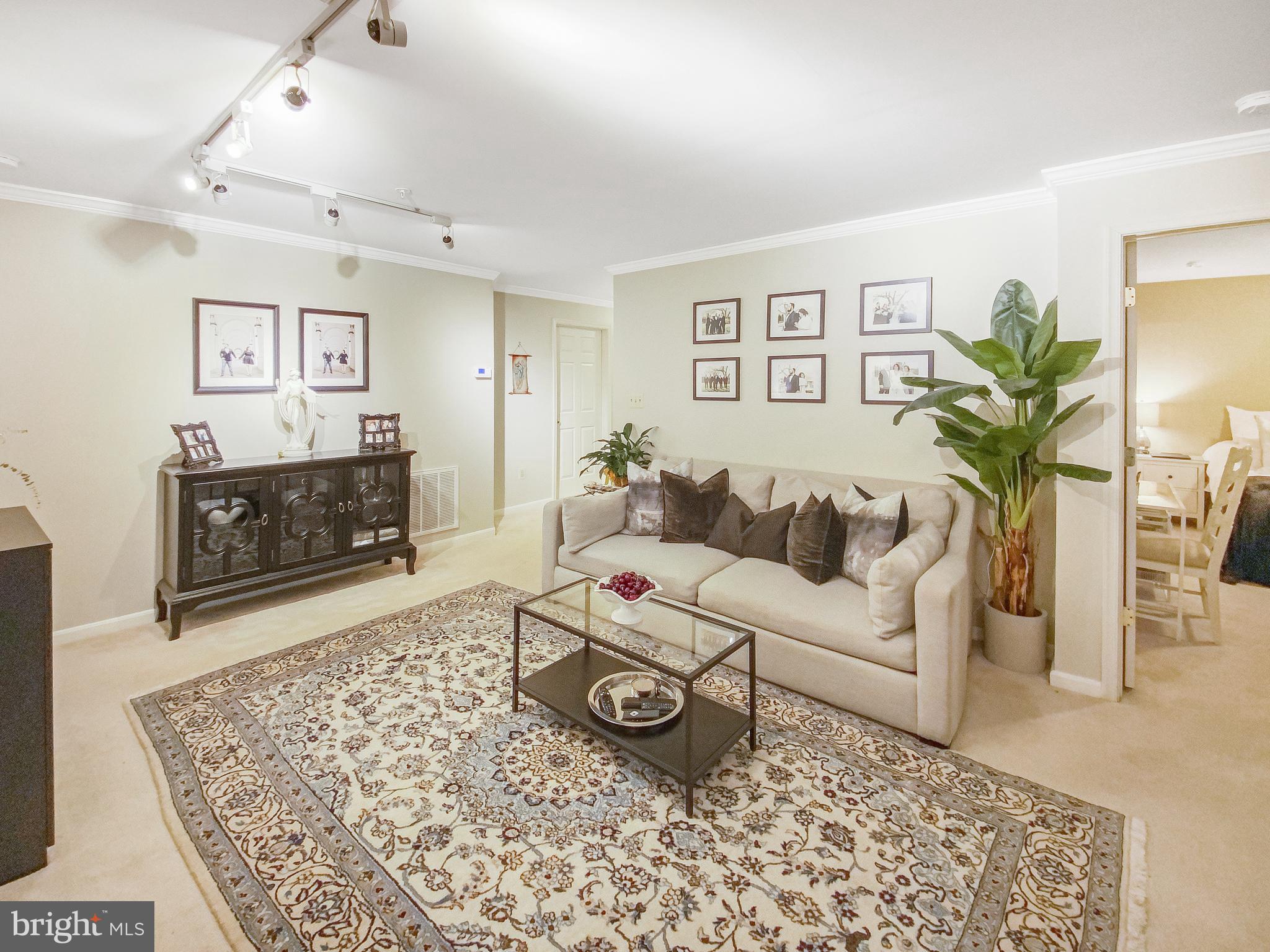 127 Timberbrook Lane, Unit 203 Gaithersburg, MD 20878 - Photo 6 of 29 a living room with furniture and a fireplace