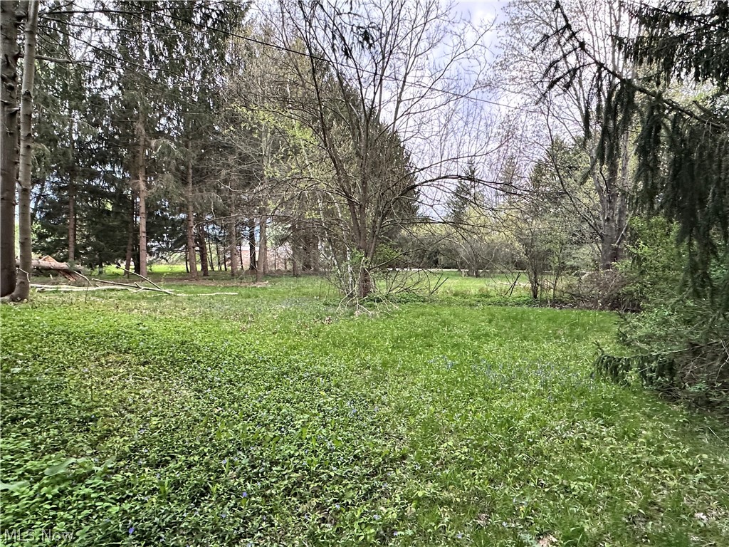 12754 Chamberlain Road Mantua, OH 44255 - Photo 11 of 41 Gallery Image 11