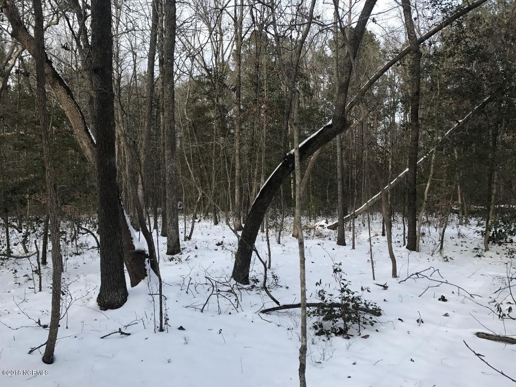 26.89 Bynum Farm Road Pinetops, NC 27864 - Photo 19 of 43 19 (1024x768)