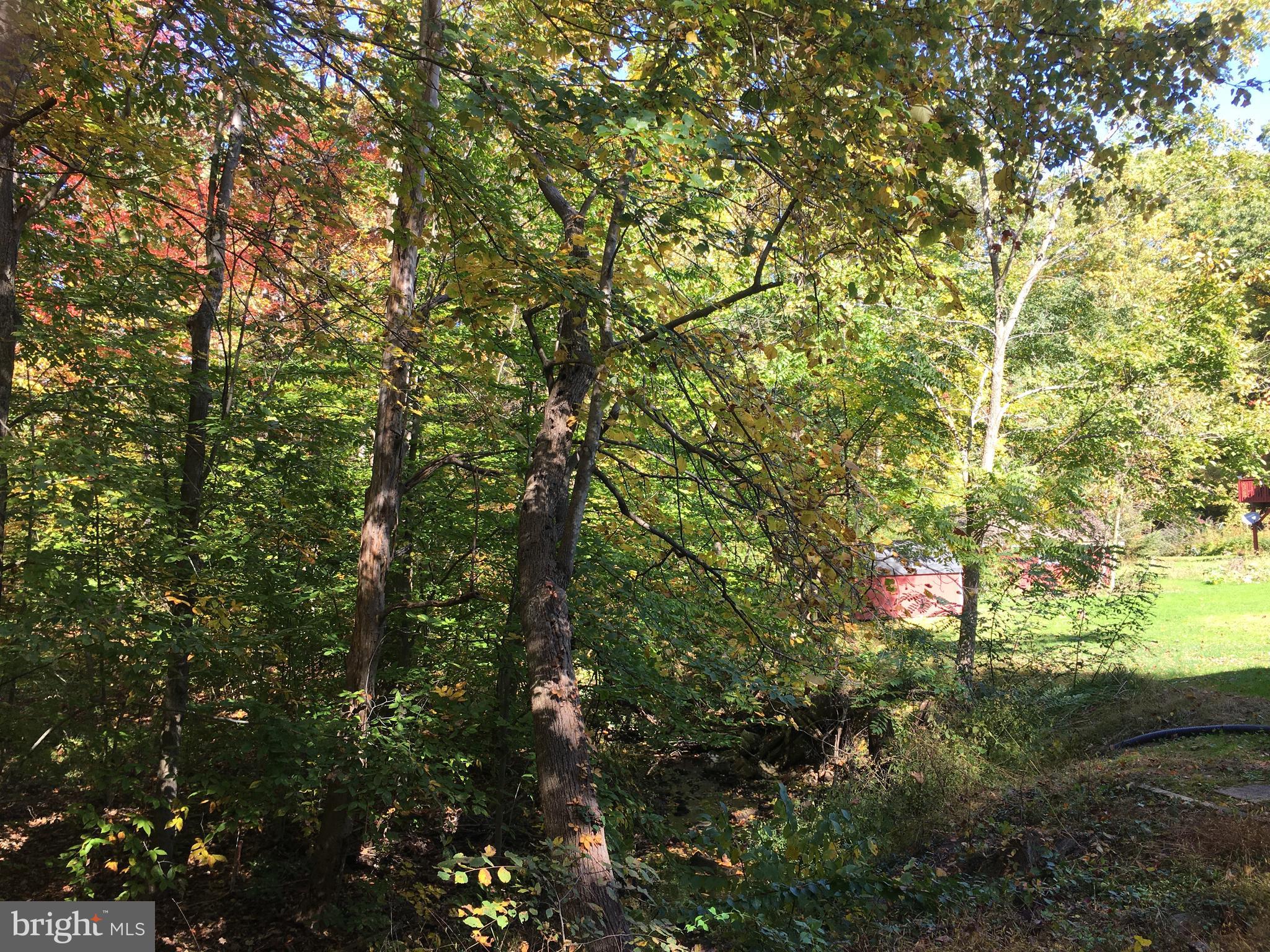 3058 Sterner Mill Road Quakertown, PA 18951 - Photo 29 of 33 Gallery Image 29