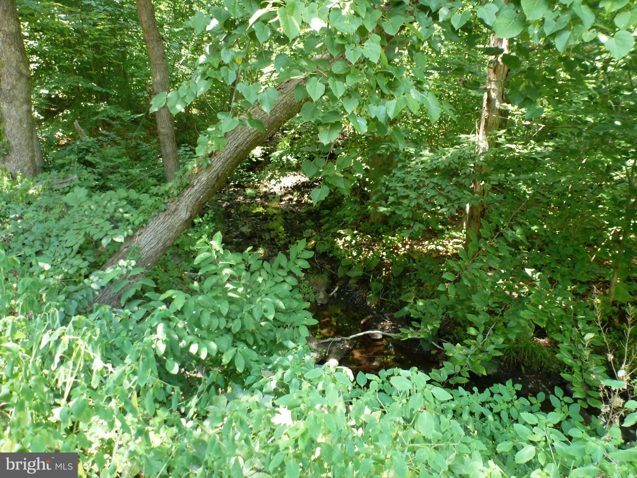 3058 Sterner Mill Road Quakertown, PA 18951 - Photo 7 of 33 Tranquil Setting Behind House