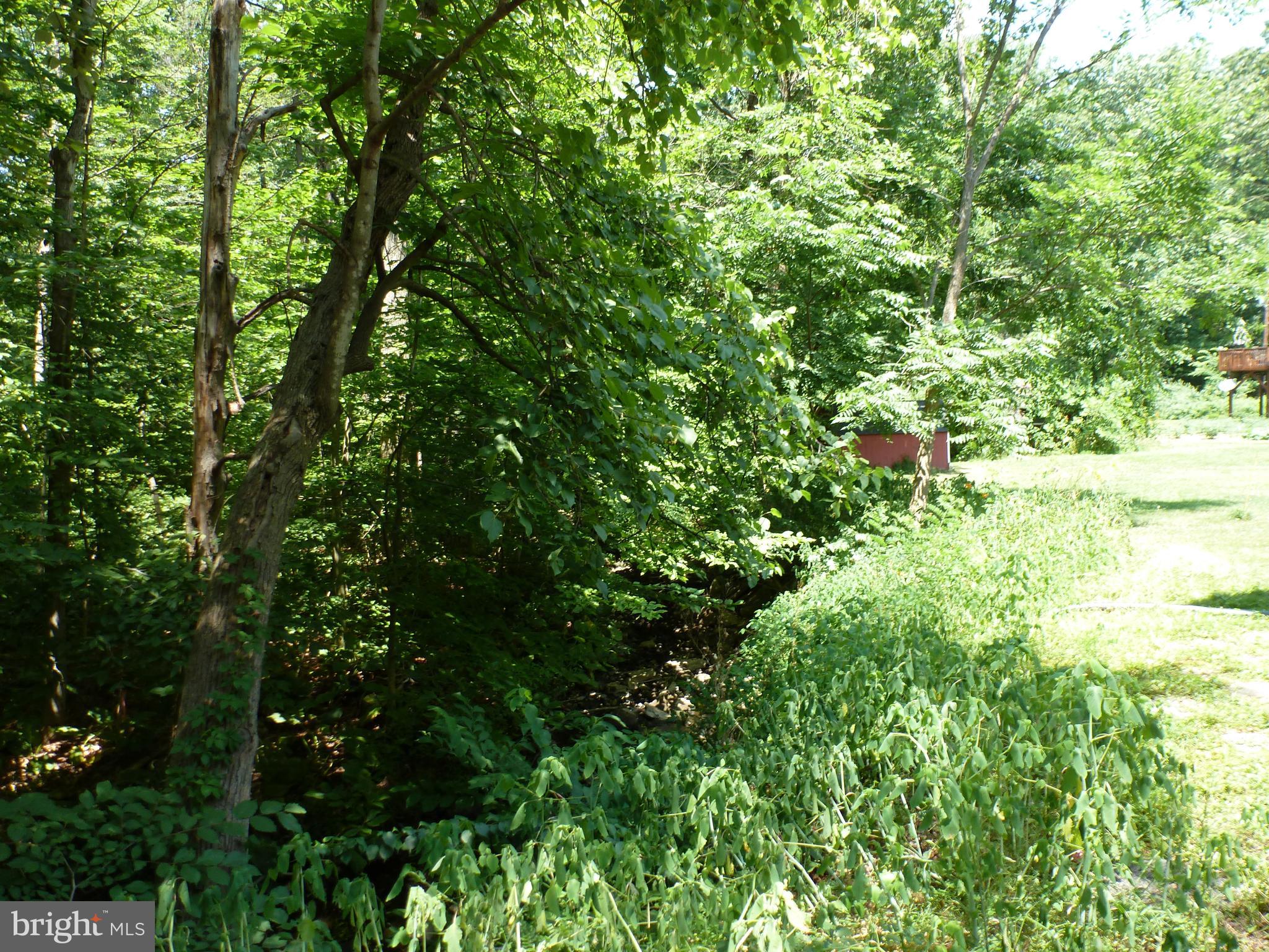 3058 Sterner Mill Road Quakertown, PA 18951 - Photo 8 of 33 Listen to the babbling creek from your porch