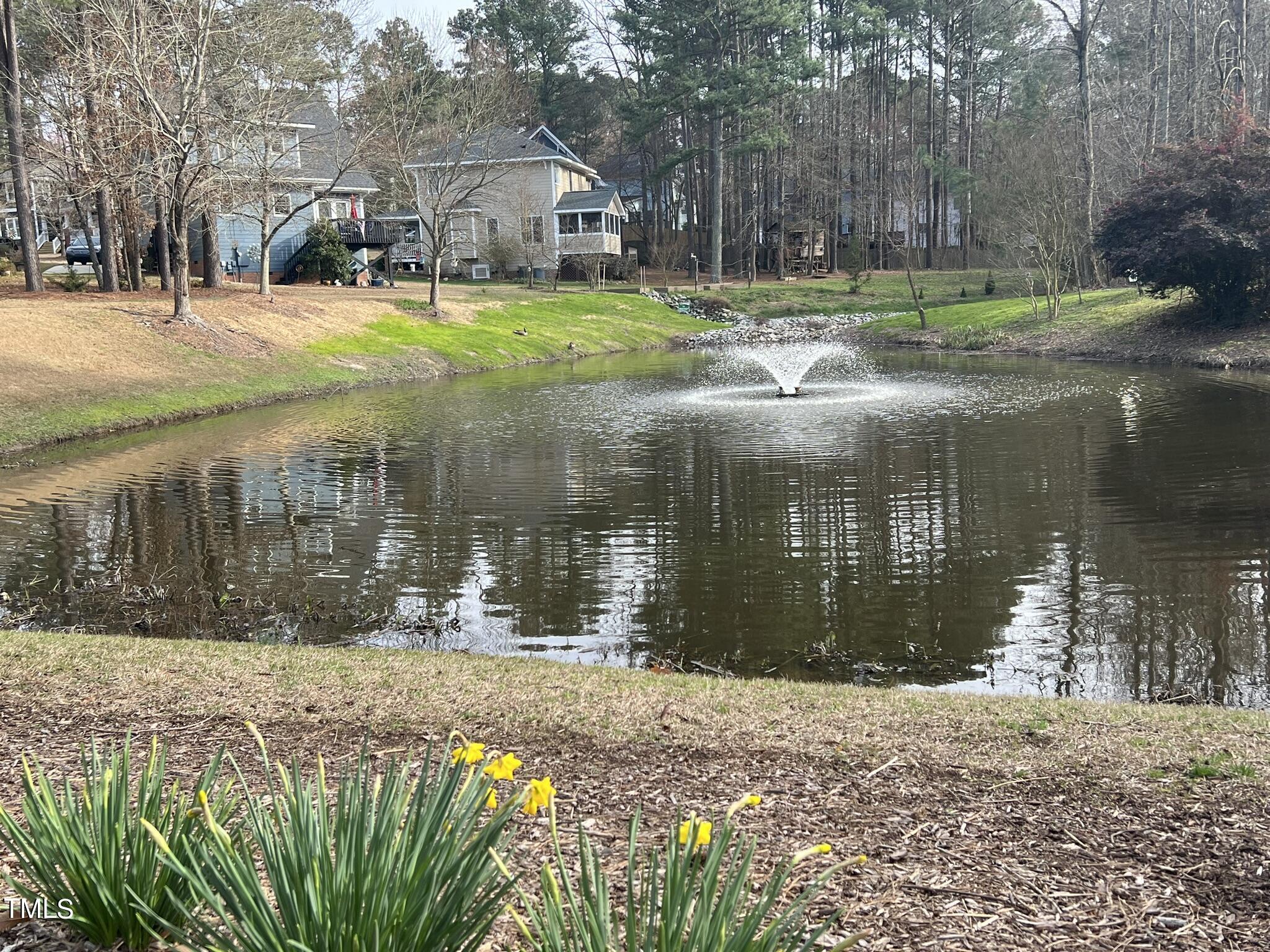 610 Scotts Ridge Trail Apex, NC 27502 - Photo 42 of 50 Community pond located across from the home