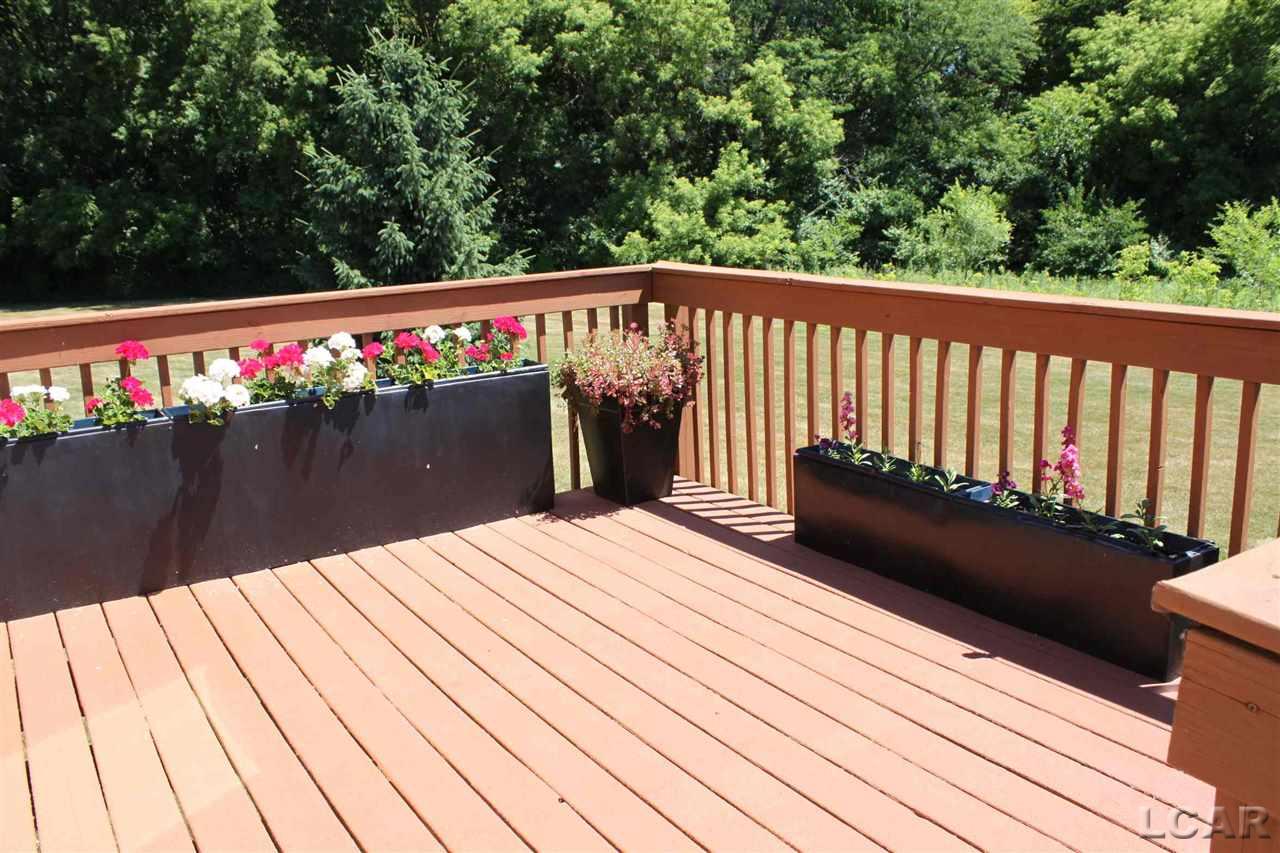 617 Ridge Lane Tecumseh, MI 49286 - Photo 3 of 34 View from Deck