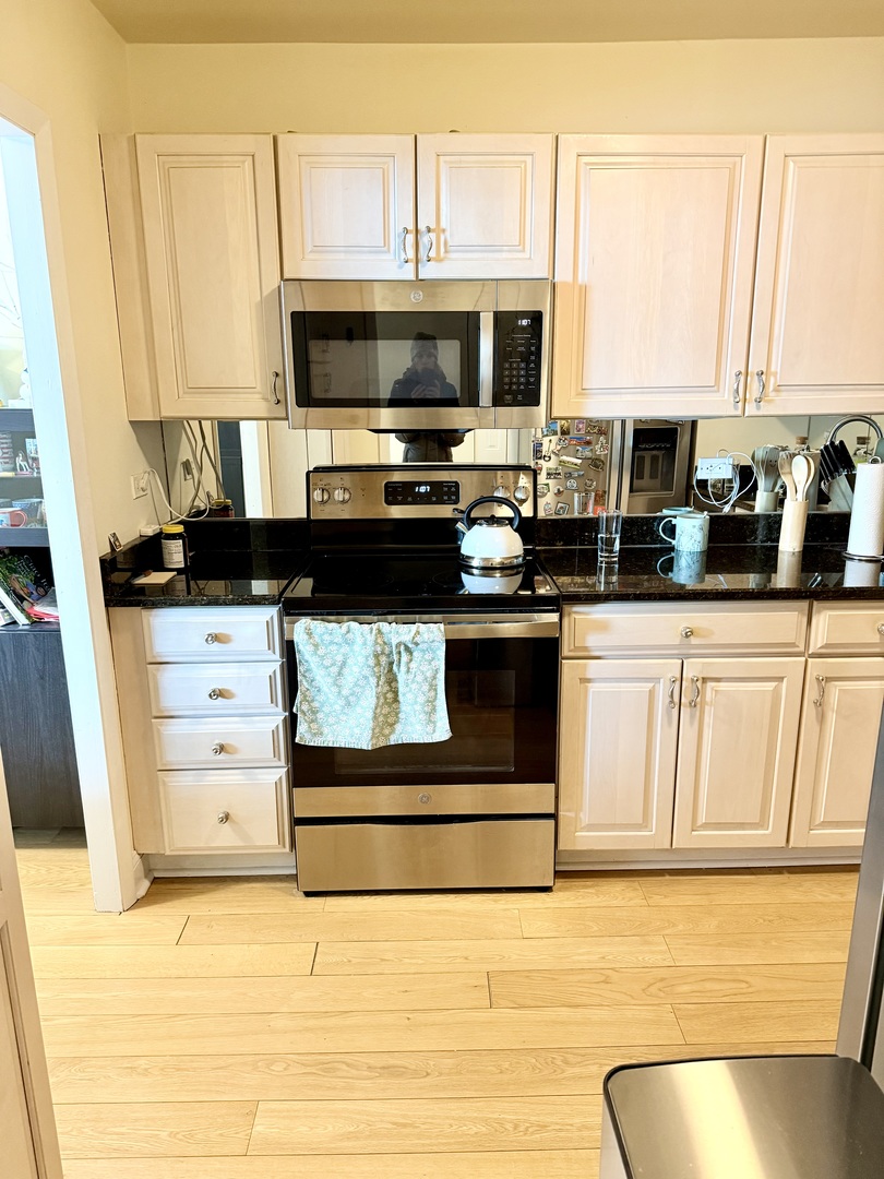 1850 North Clark Street, Unit 2909 Chicago, IL 60614 - Photo 5 of 18