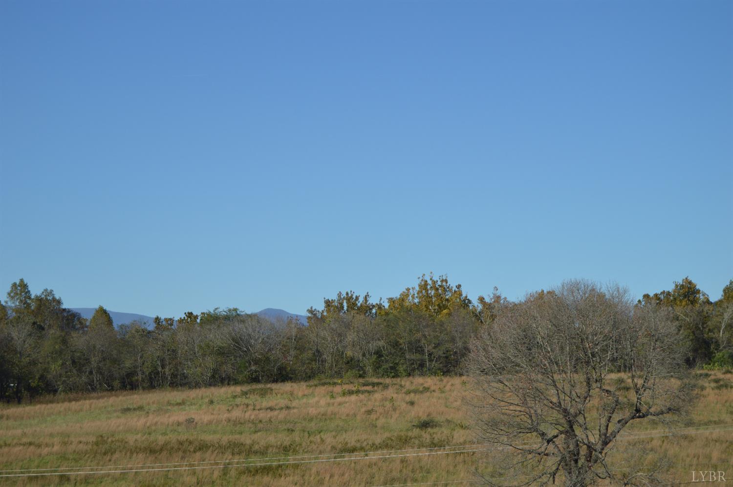 6 Goode Station Road Goode, VA 24556 - Photo 9 of 14 a view of a field of grass and trees