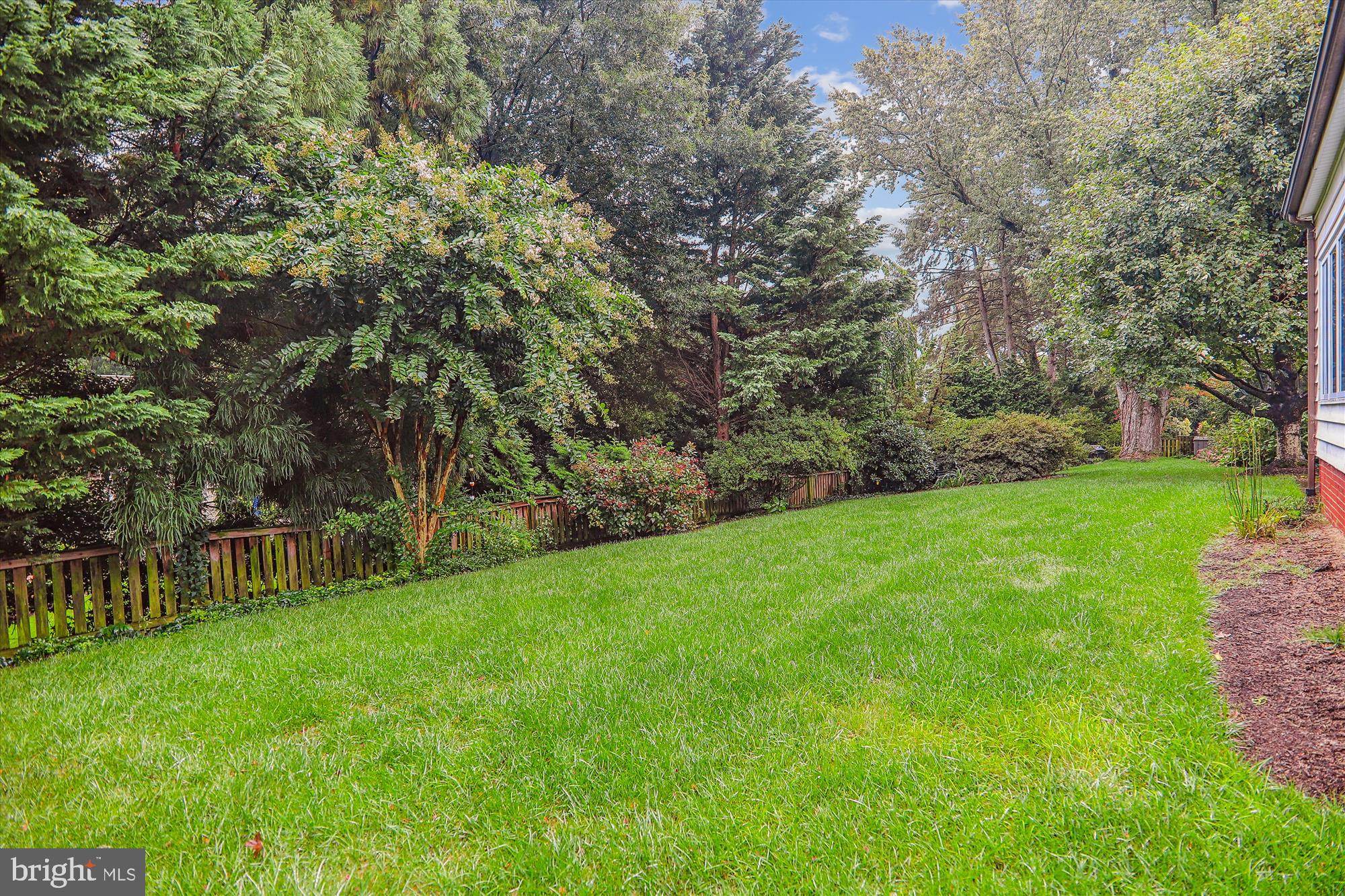 4504 Edgefield Road Kensington, MD 20895 - Photo 29 of 56 Back Yard