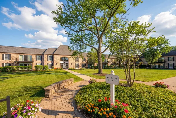 a view of a yard with a tree