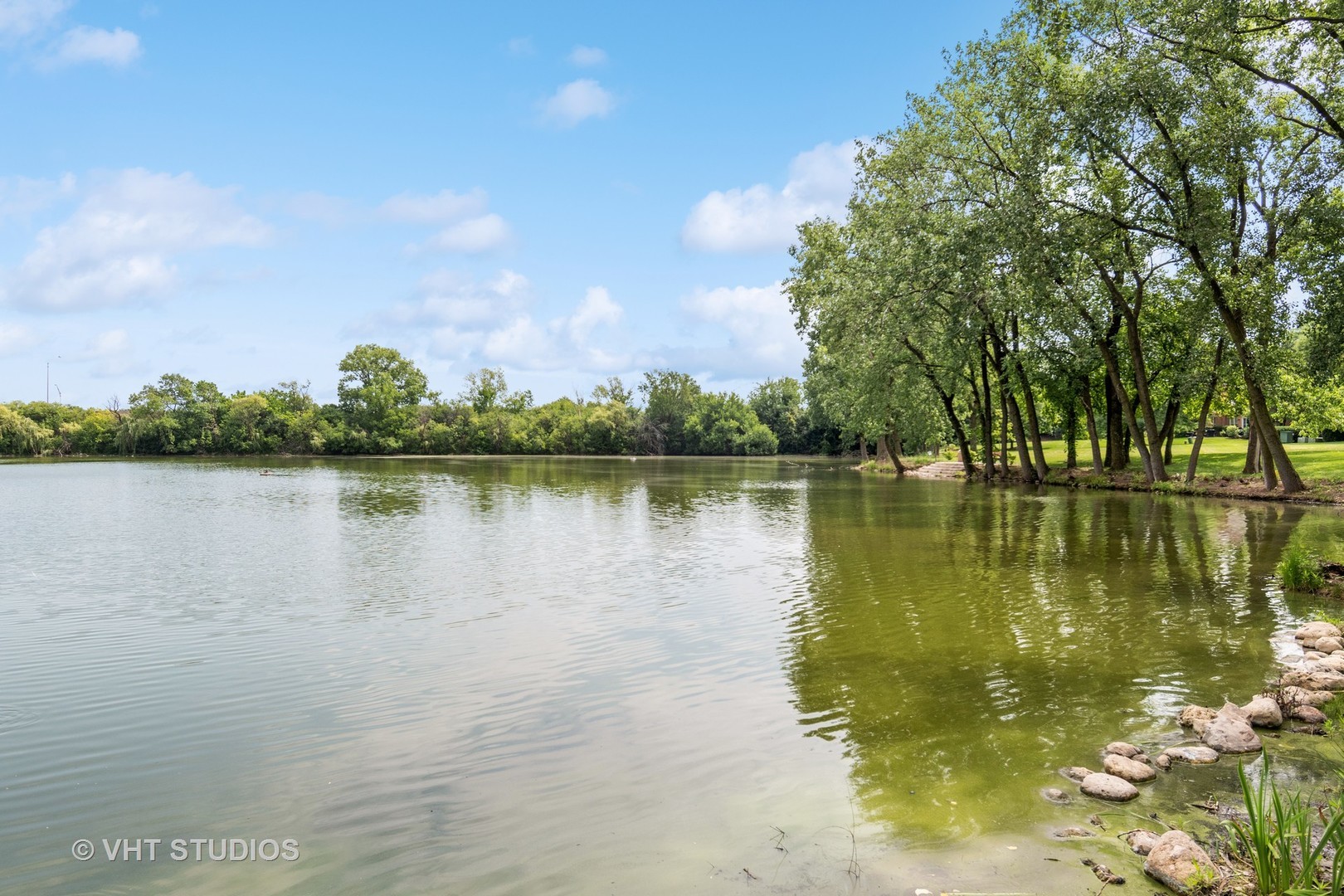 140 Carriage Way Drive, Unit C218 Burr Ridge, IL 60527 - Photo 31 of 33 a view of a lake with houses in the background