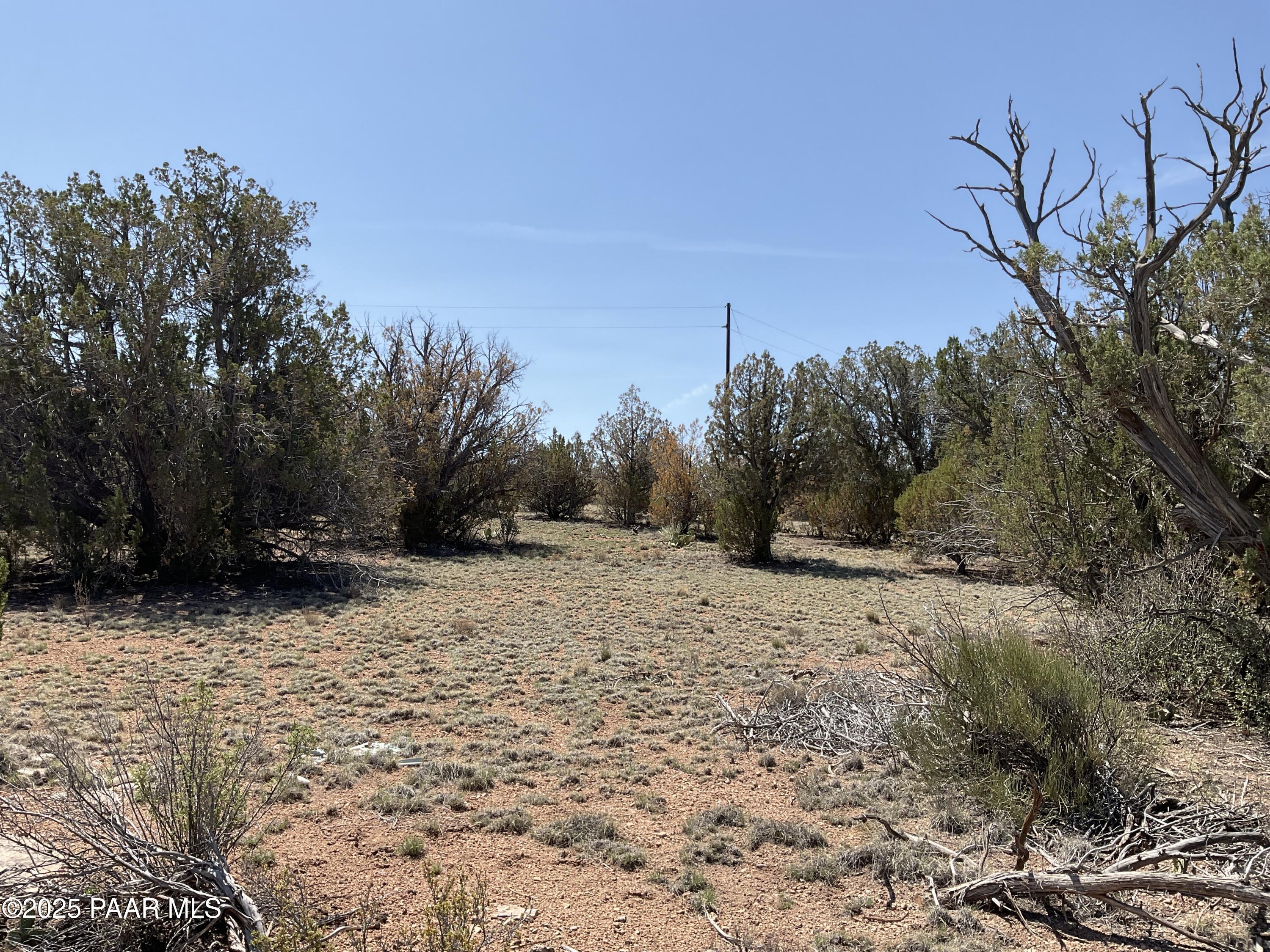 56640 Agave Road Seligman, AZ 86337 - Photo 1 of 9 land