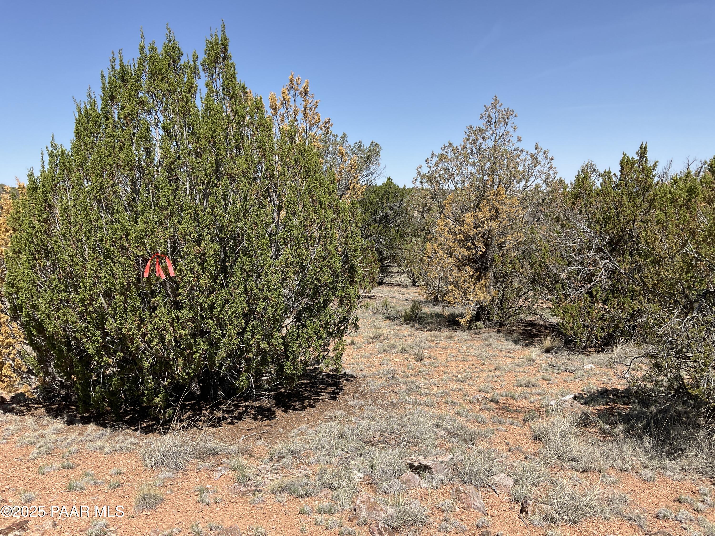 56640 Agave Road Seligman, AZ 86337 - Photo 2 of 9 IMG_3964