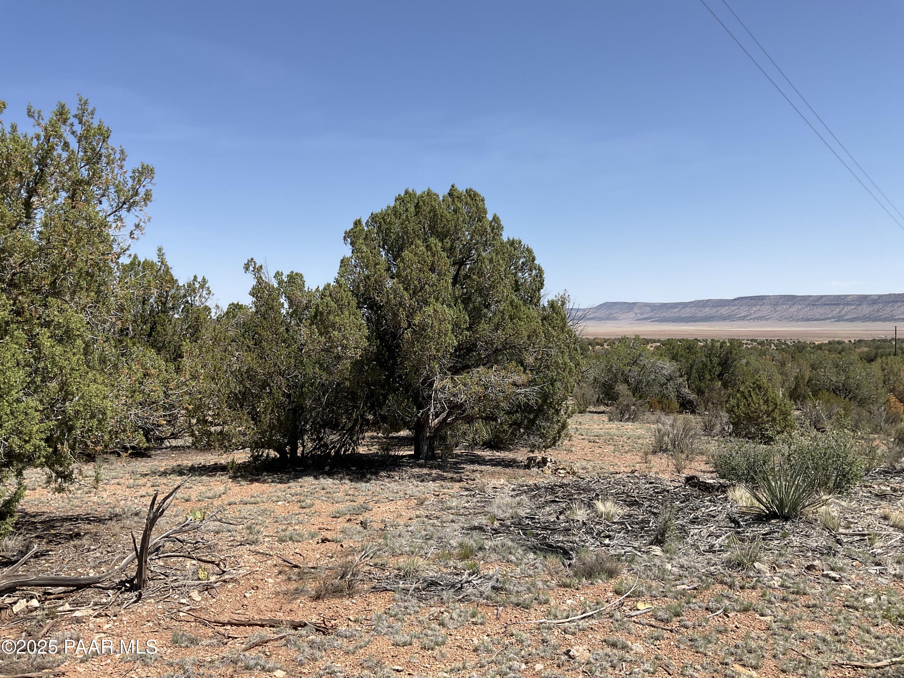 56640 Agave Road Seligman, AZ 86337 - Photo 5 of 9 IMG_3965