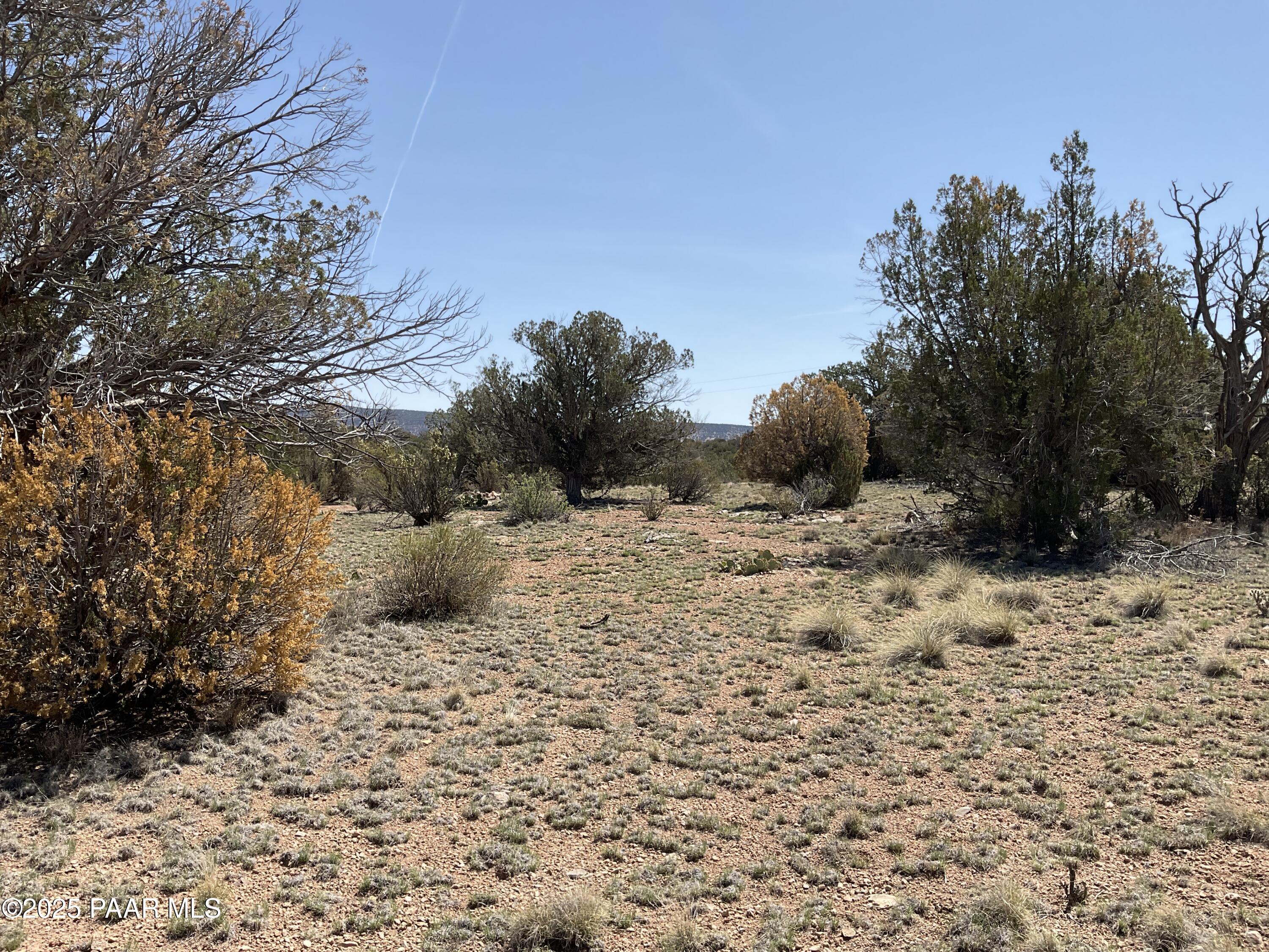 56640 Agave Road Seligman, AZ 86337 - Photo 7 of 9 IMG_3969