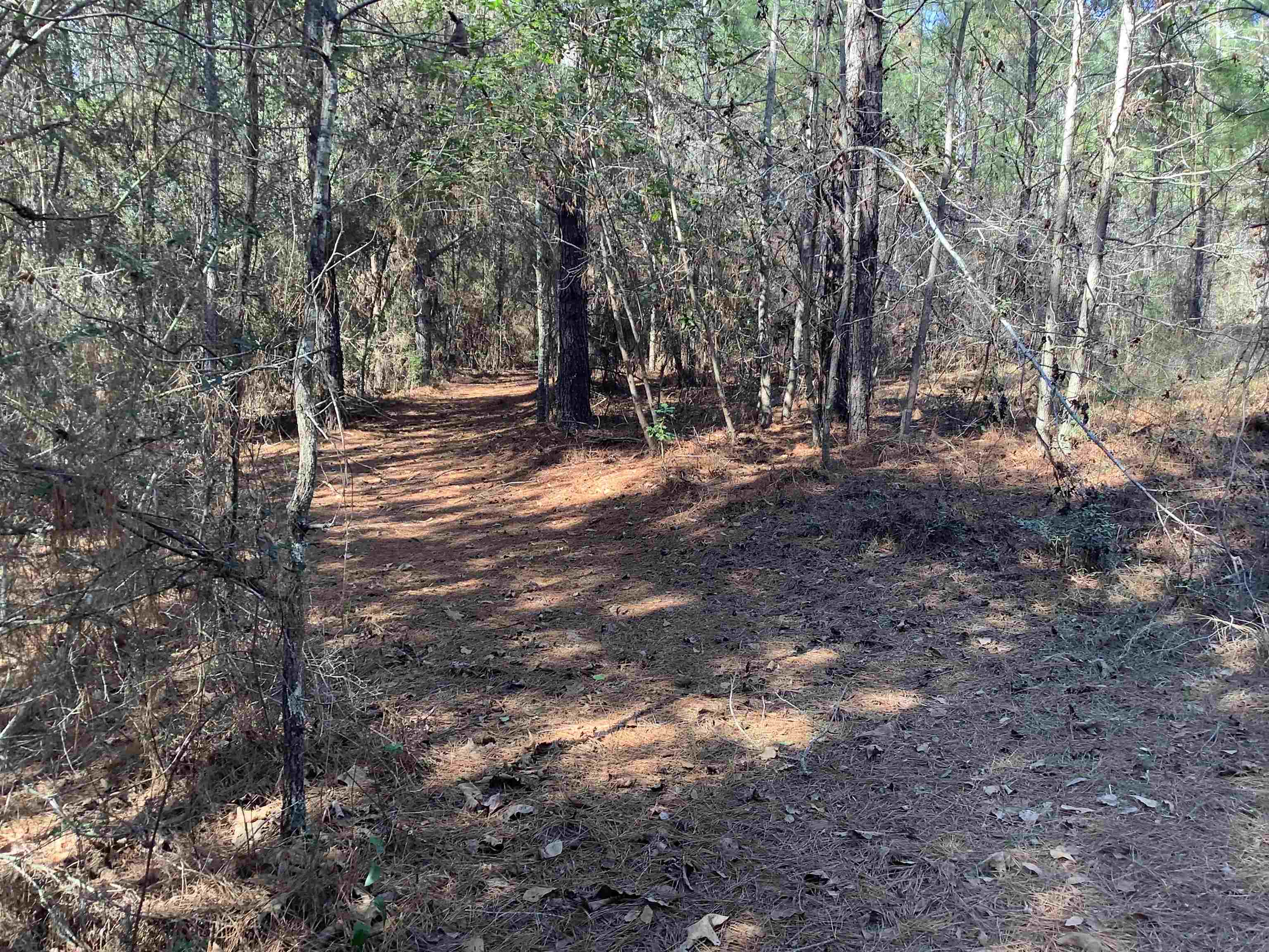 25051 Reaves Road Opp, AL 36467 - Photo 36 of 43 Gallery Image 36