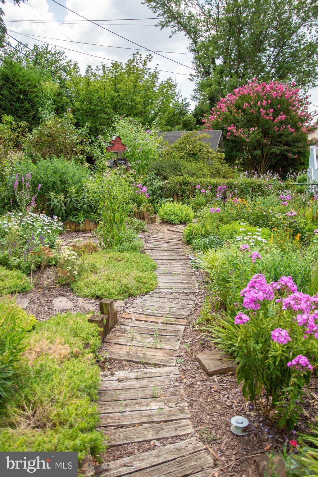 611 Elmwood Road Baltimore, MD 21206 - Photo 46 of 51 Backyard