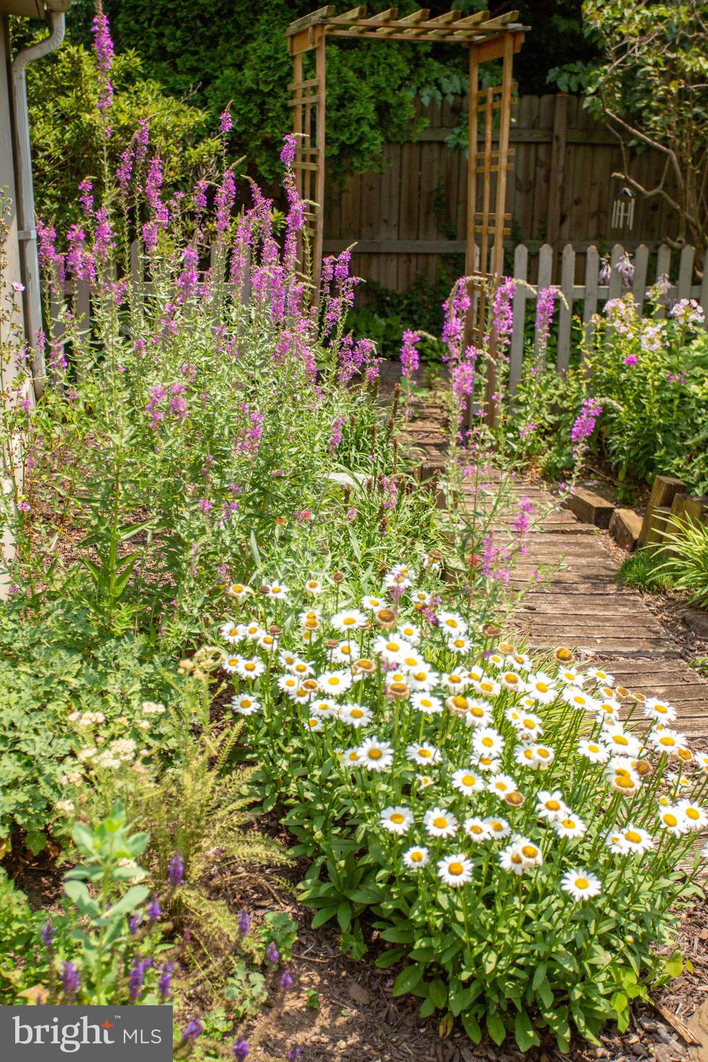 611 Elmwood Road Baltimore, MD 21206 - Photo 47 of 51 Pretty landscaping