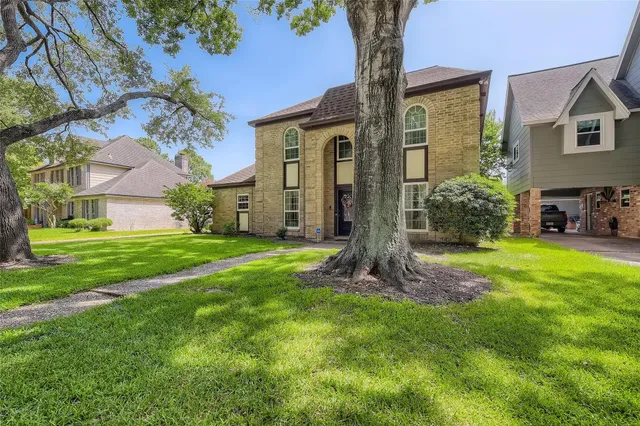 a view of a big yard with plants and large trees
