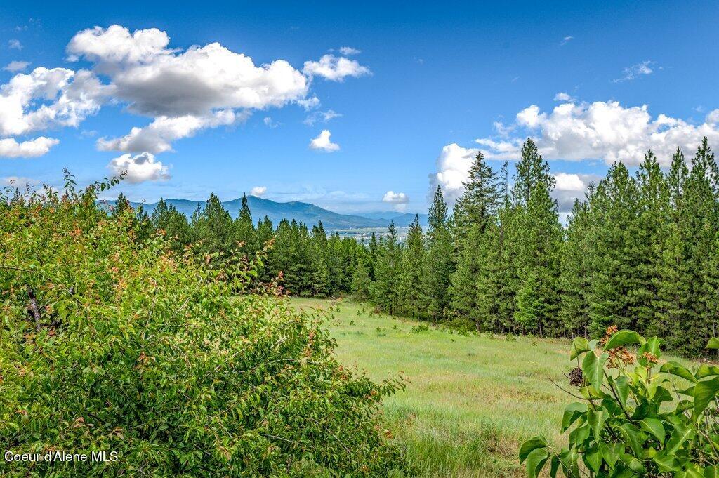 3018 South Signal Point Road Post Falls, ID 83854 - Photo 55 of 117 Wooded Area