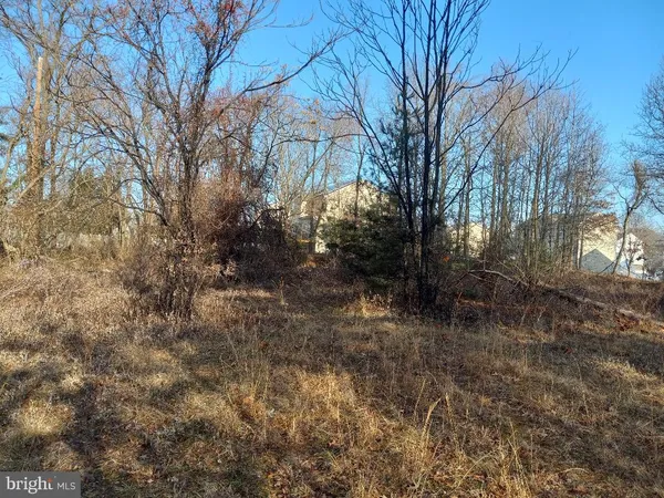 a view of a yard
