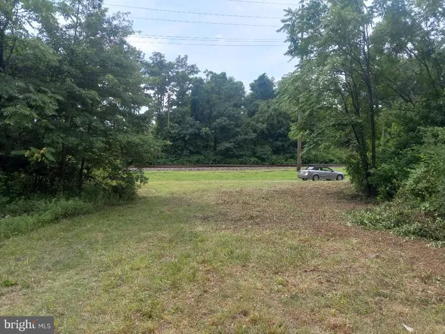a view of a yard with plants and trees