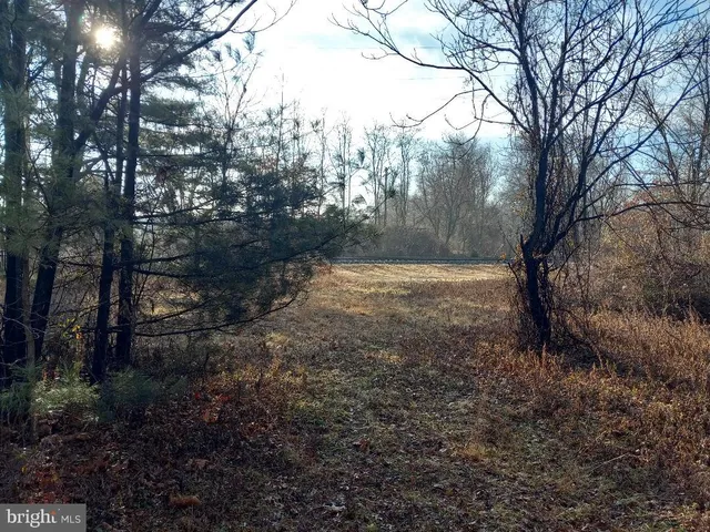 a view of dirt yard with a tree
