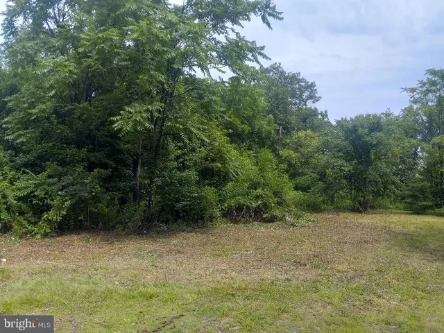 a backyard of a house with plants and large trees with wooden fence
