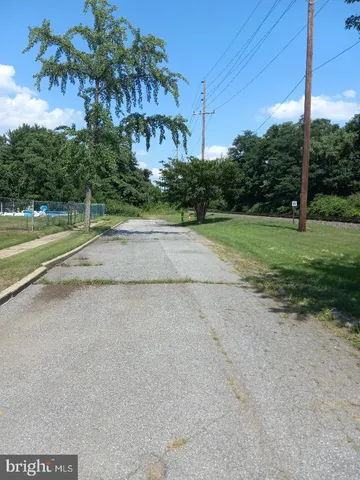 a view of a park with large trees