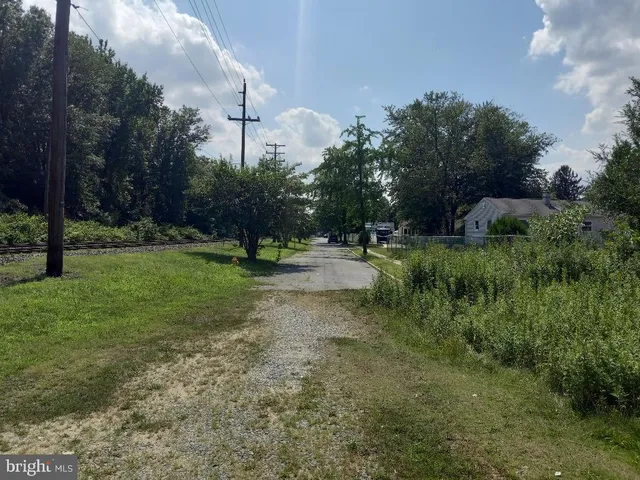 a view of a yard with a tree