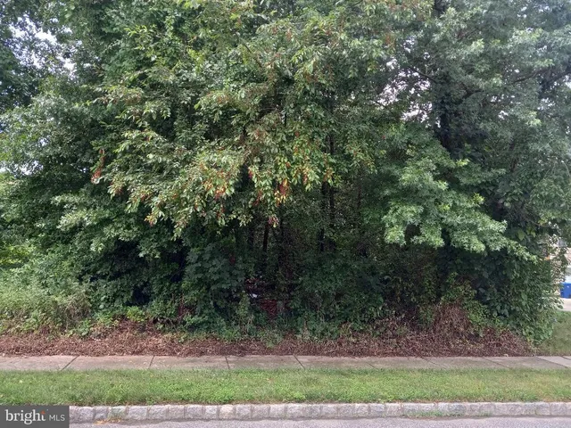 a close up of a sign