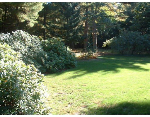 320 Lincoln Road Walpole, MA 02081 - Photo 3 of 3 Gallery Image 3