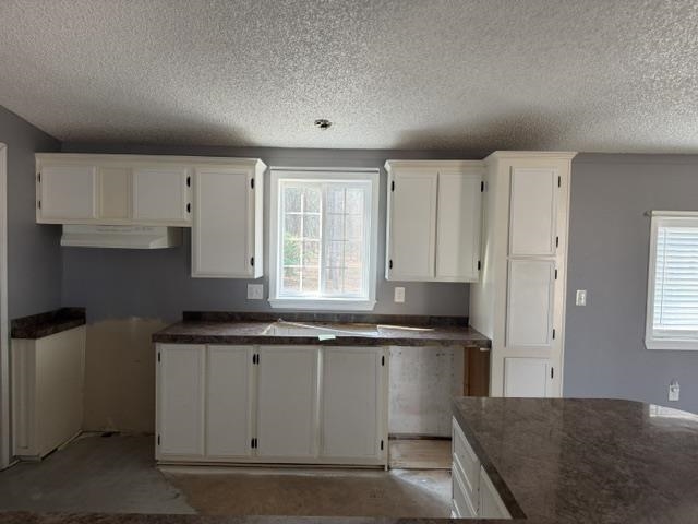 22220 North Elk Chattaroy Road Colbert, WA 99005 - Photo 14 of 16