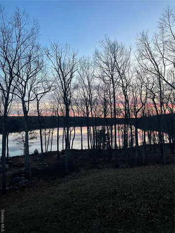 a view of backyard with green space