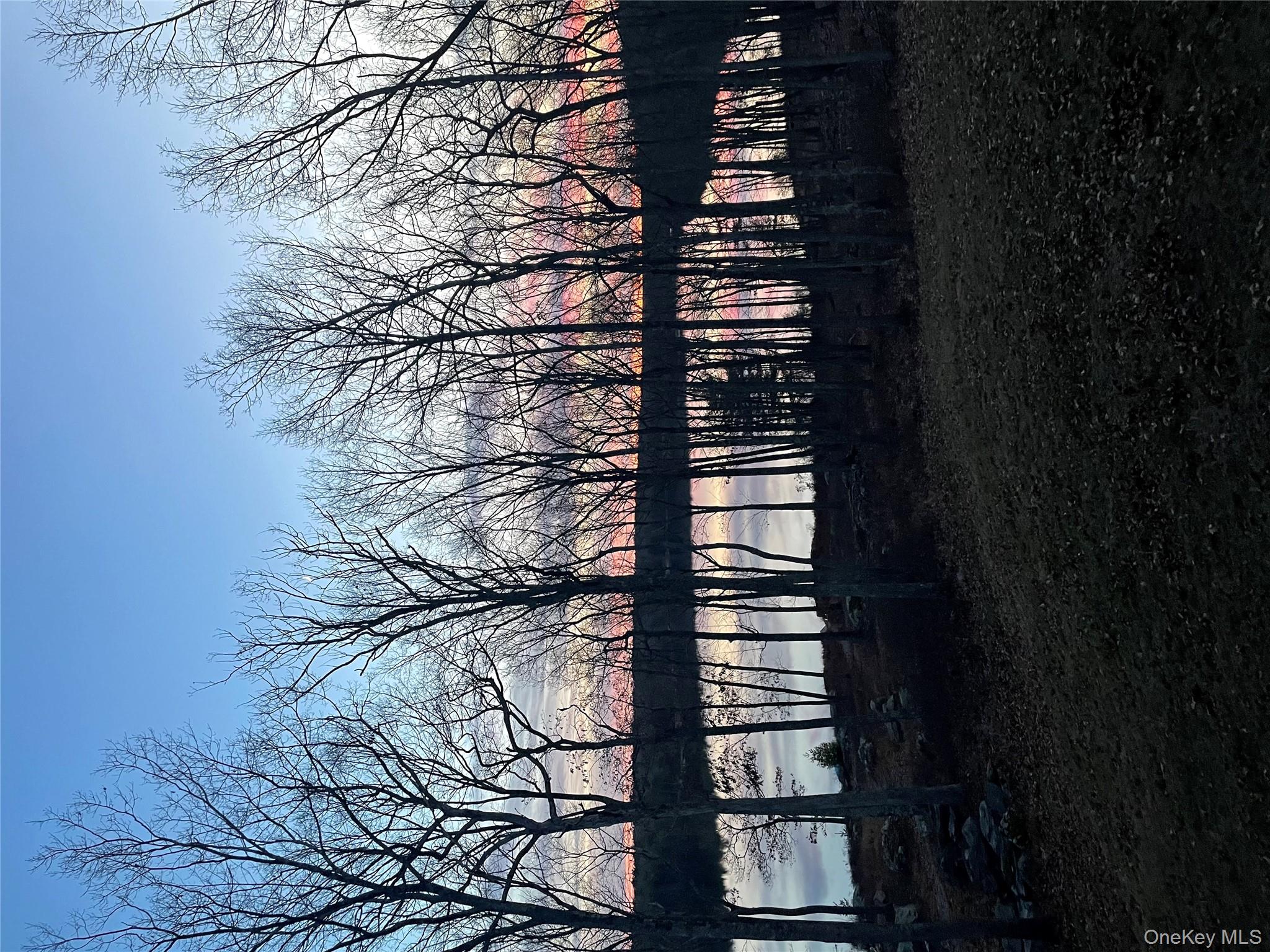 York Lake Estates Road Barryville, NY 12719 - Photo 3 of 14 a view of backyard with green space
