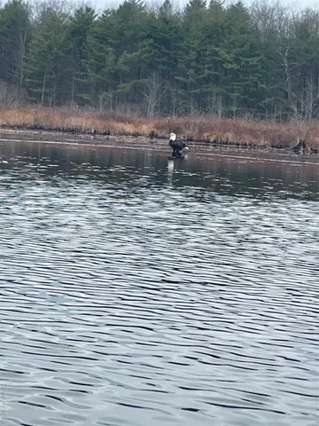 a view of a water pond