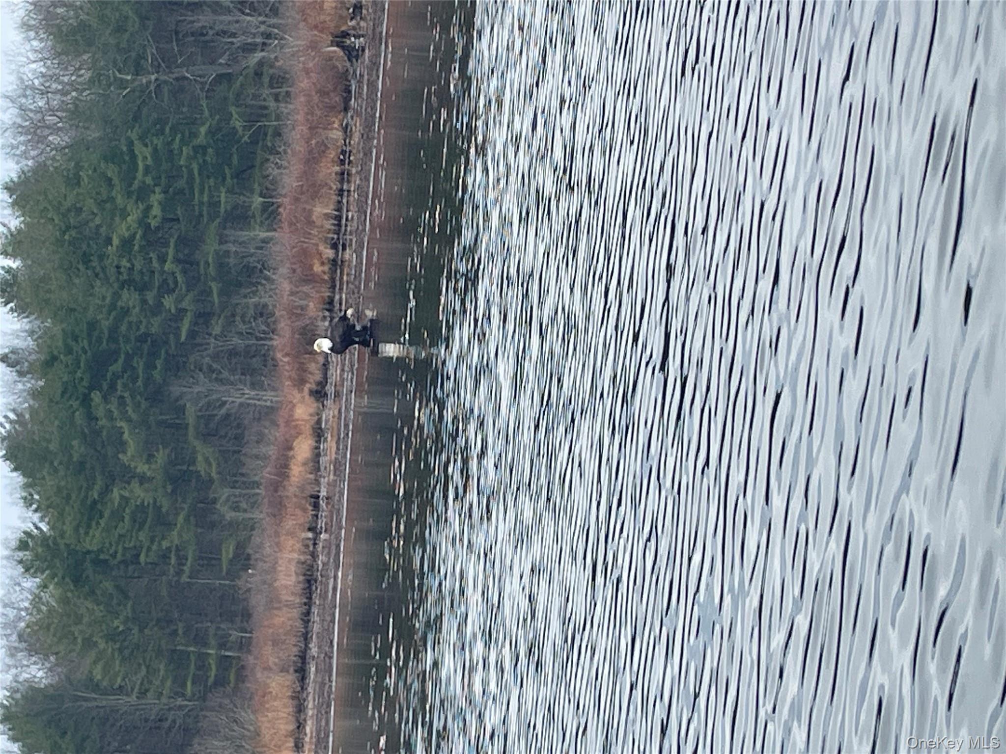 York Lake Estates Road Barryville, NY 12719 - Photo 5 of 14 a view of a water pond