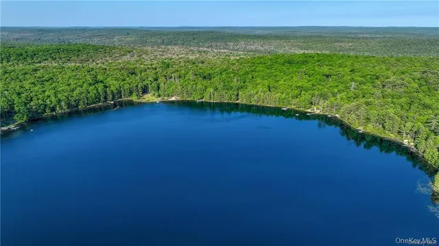 a view of a field with an ocean