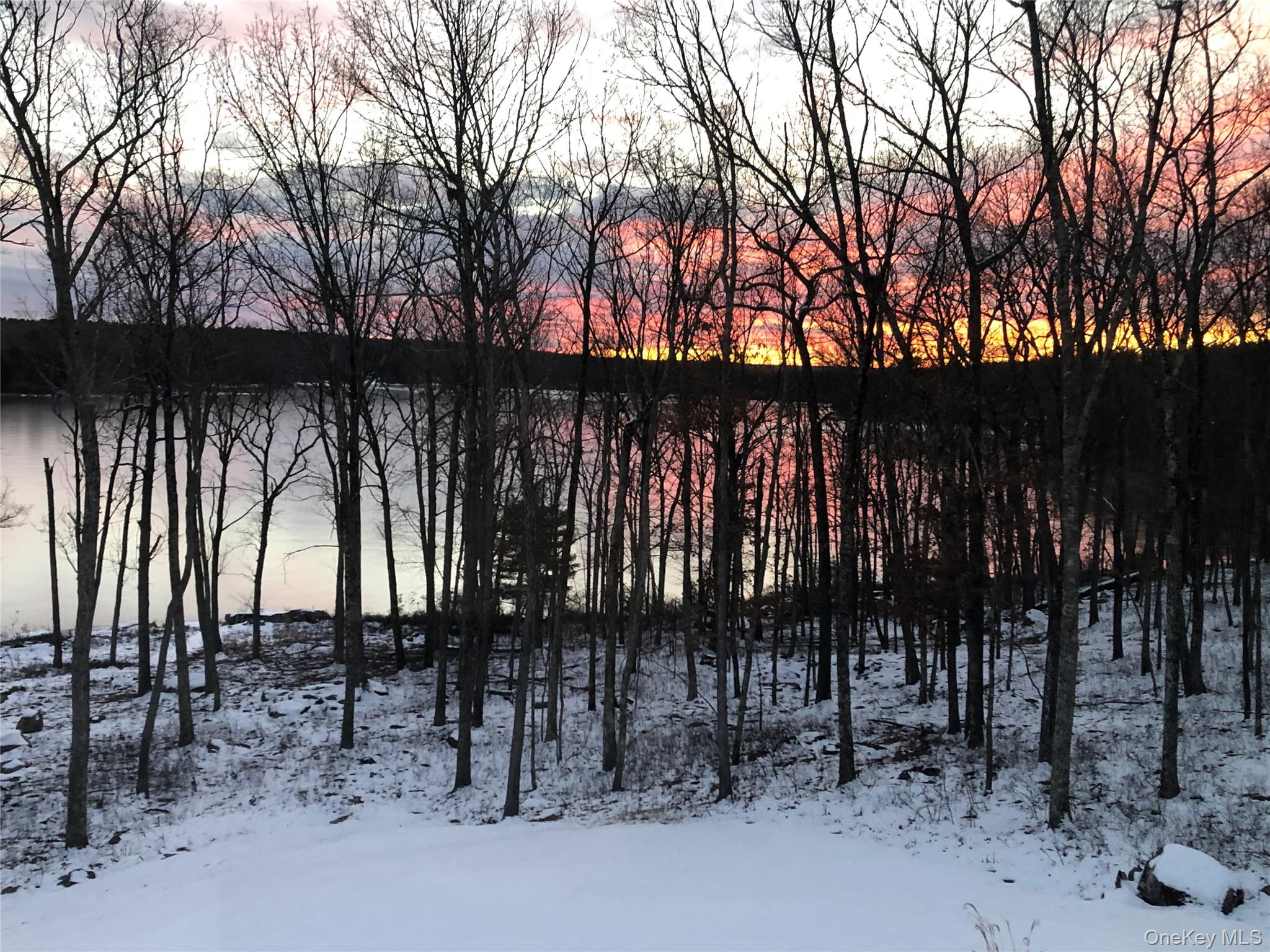 York Lake Estates Road Barryville, NY 12719 - Photo 10 of 14 a view of outdoor space with lots of trees