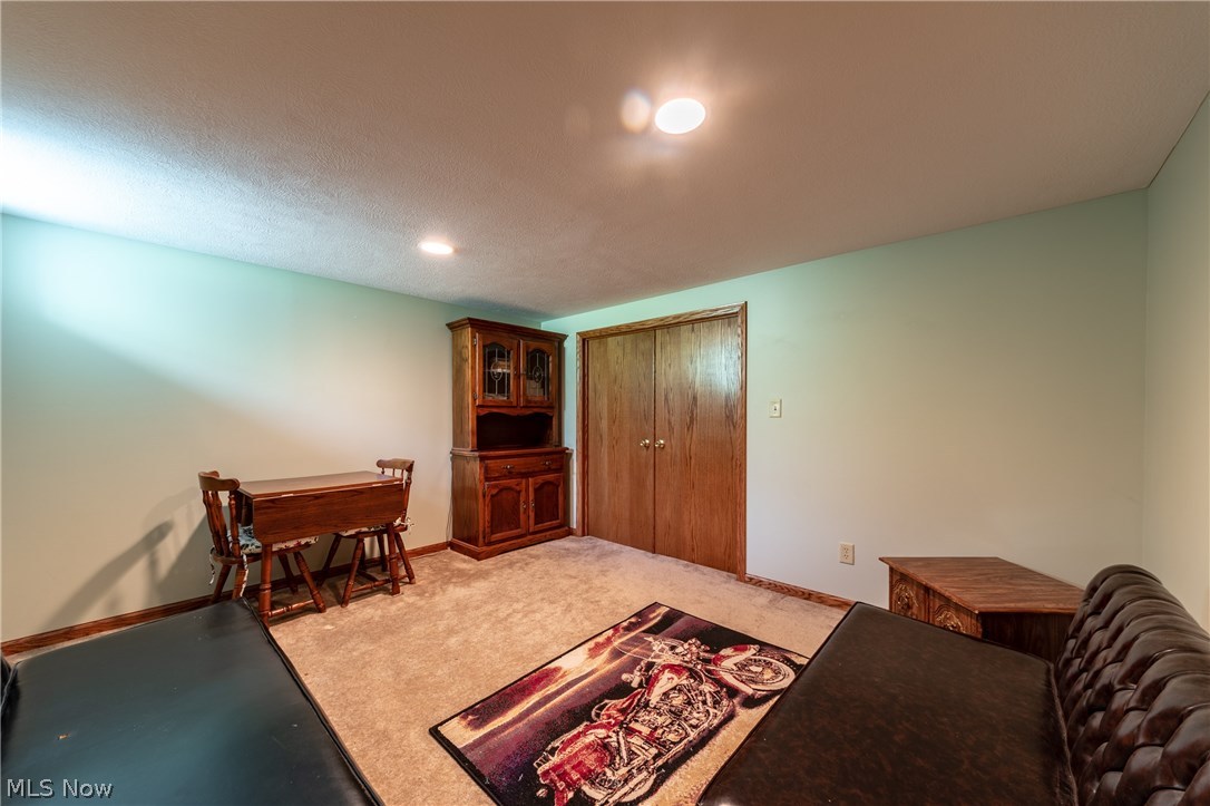4525 Maple Street Perry, OH 44081 - Photo 18 of 29 Gallery Image 18