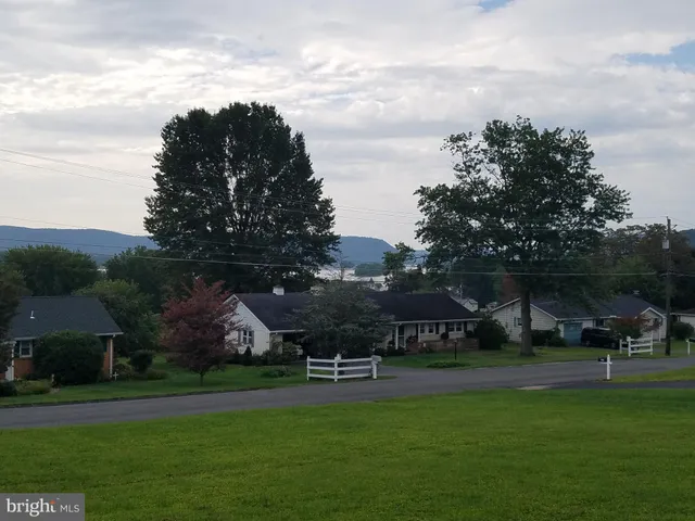 a view of a park with large trees