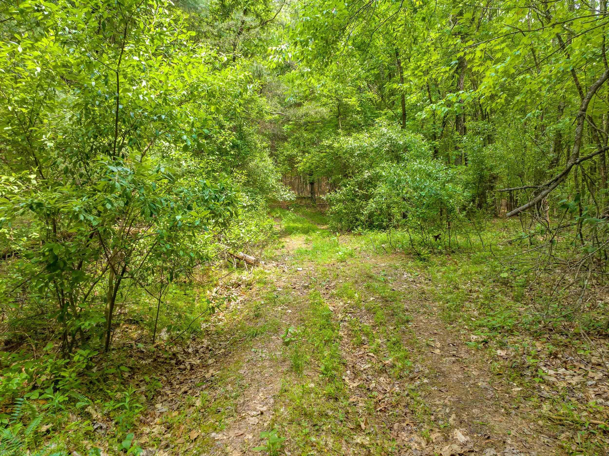 Tbd Apache Road Woodlawn, VA 24381 - Photo 25 of 48 Gallery Image 25