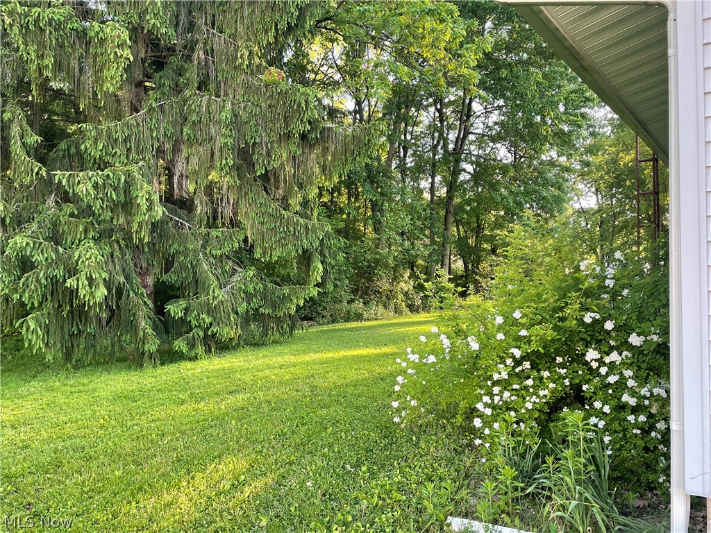 1378 Deforest Road Southeast Warren, OH 44484 - Photo 3 of 4 Gallery Image 3