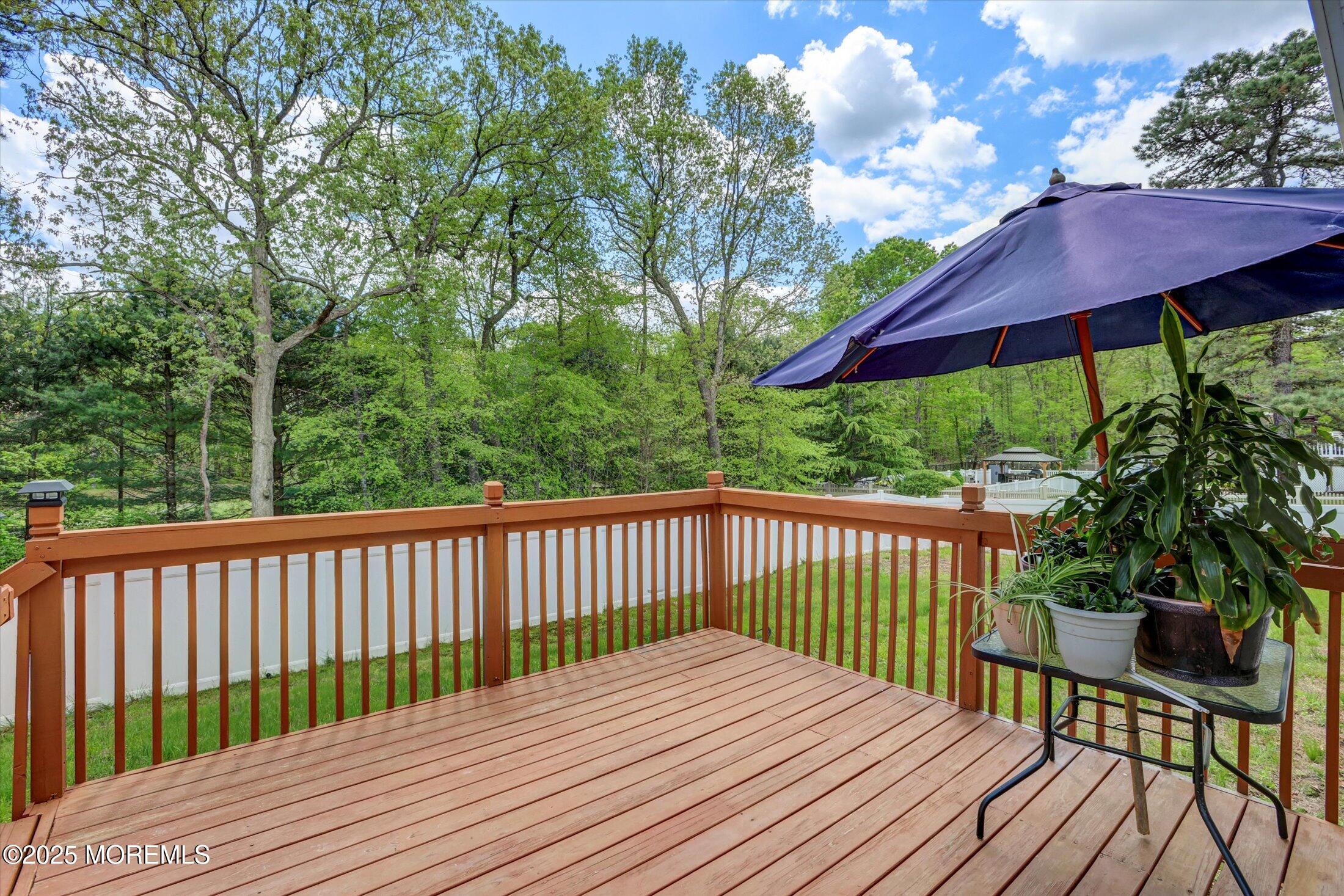 1041 Aumack Road Jackson, NJ 08527 - Photo 27 of 34 36-Patio