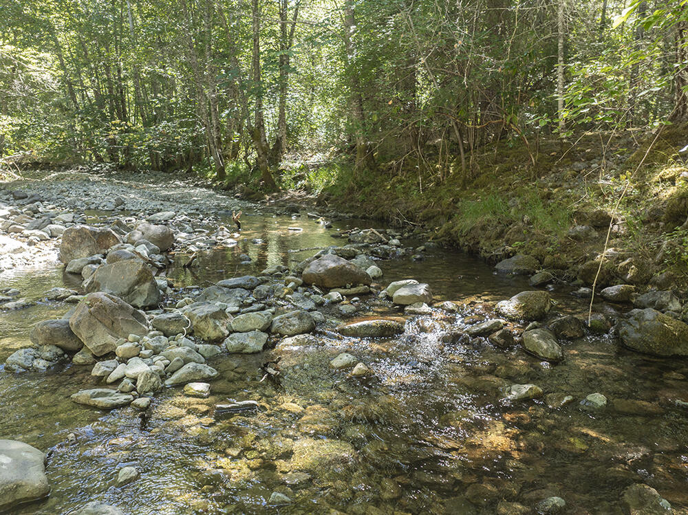 8843 Deer Creek Road Selma, OR 97538 - Photo 54 of 65 53