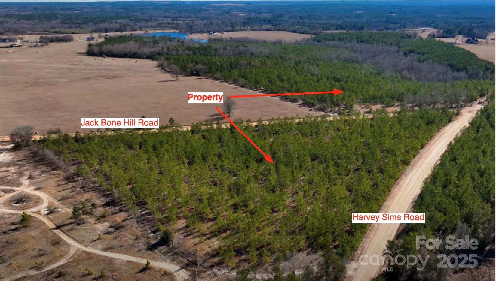 7 Jack Bone Hill Road Jefferson, SC 29718 - Photo 1 of 1 an aerial view of a house