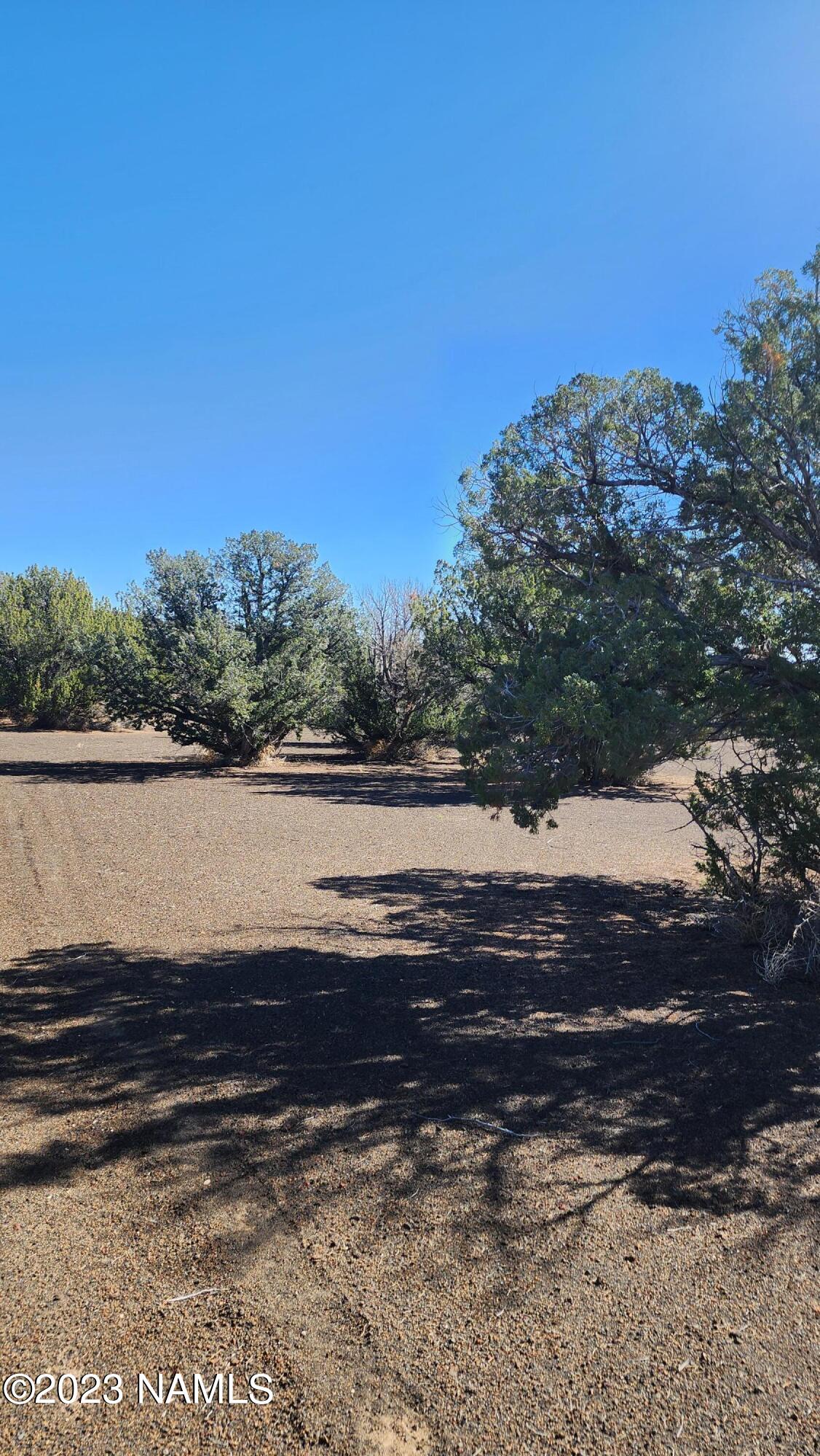 0 Alpine Ranch Flagstaff, AZ 86004 - Photo 2 of 7 30324004B parcel 1