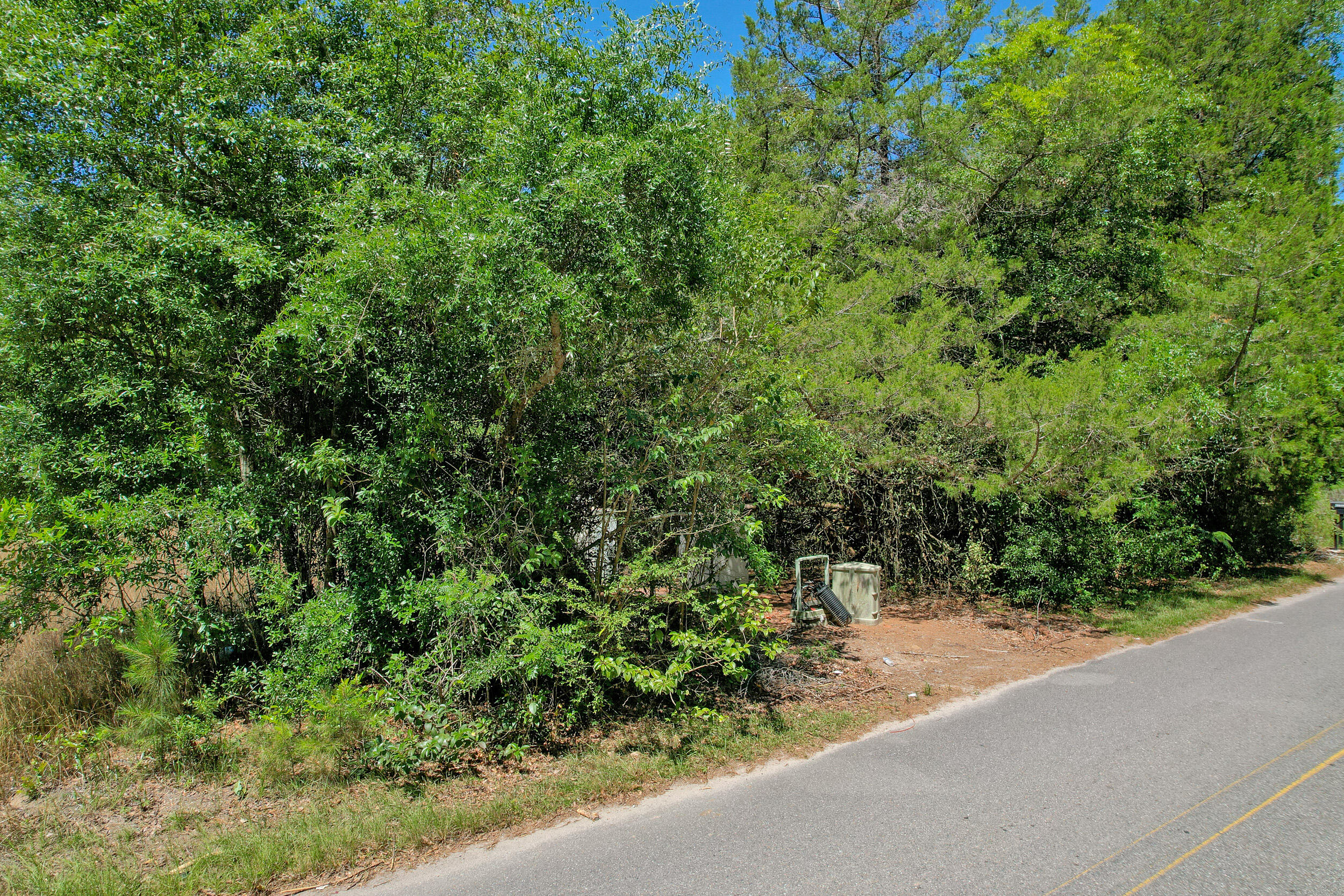 119 Sandpit Drive Ridgeville, SC 29472 - Photo 5 of 17