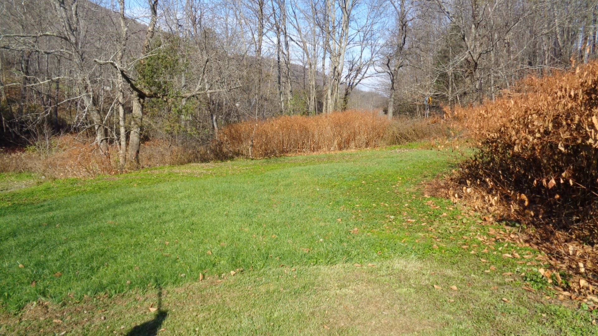 1052 East Roxbury Road Roxbury, VT 05663 - Photo 15 of 38